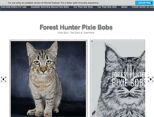Tablet Screenshot of foresthunter.com
